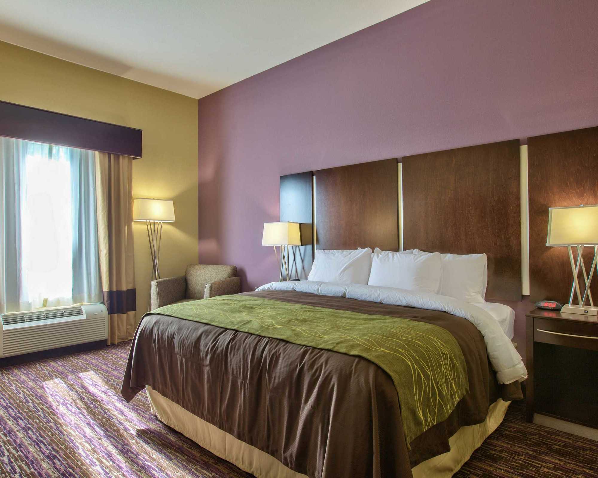 Comfort Inn & Suites Dothan East Zimmer foto